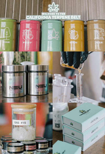 Harvest-Bazaar2-1 Harvest-Bazaar2-1