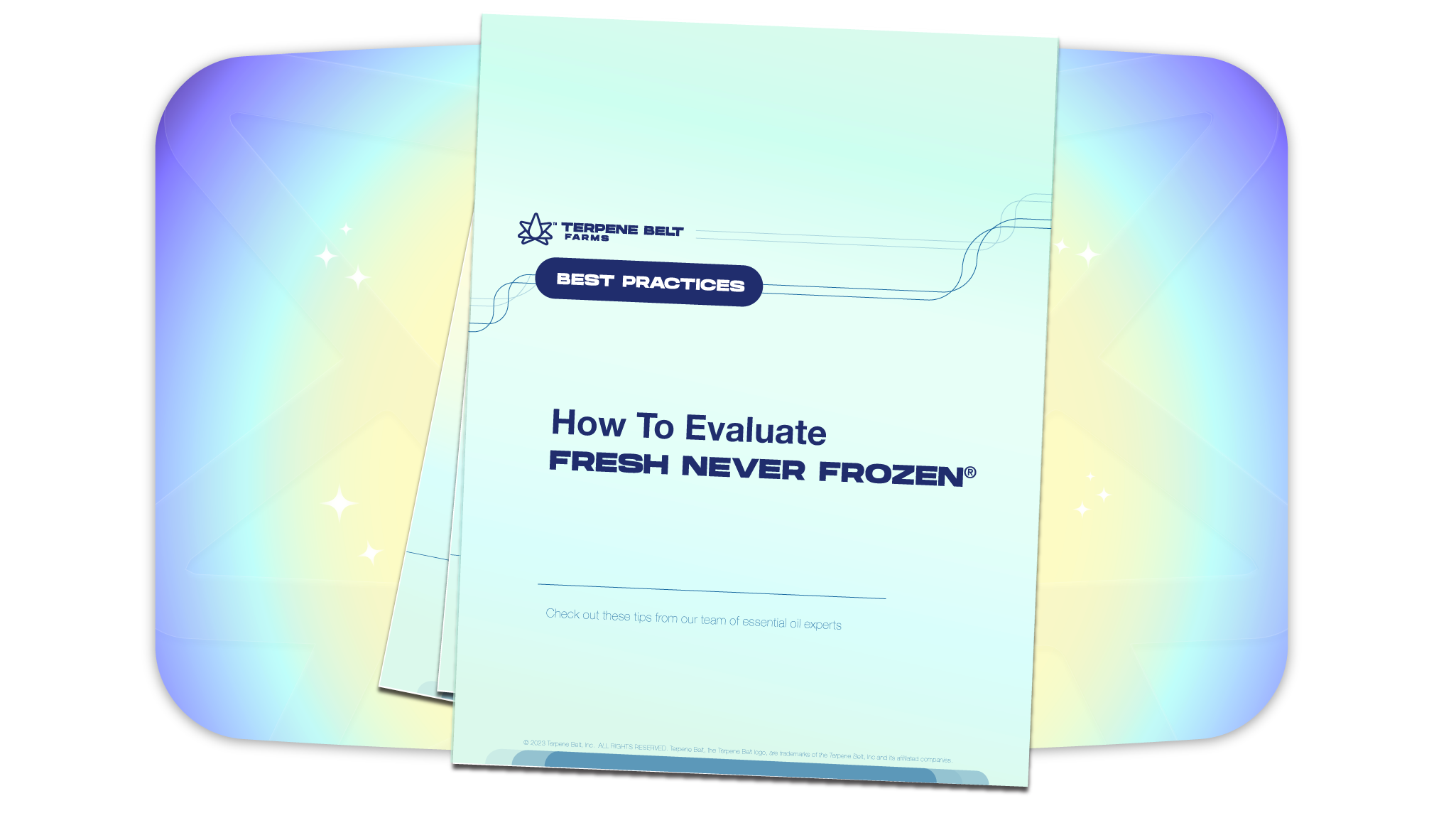 Image of How To Evaluate Fresh Never Frozen® PDF Guide